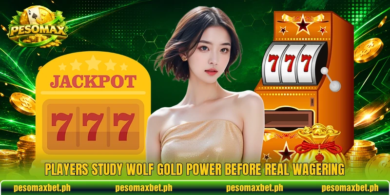 Players study Wolf Gold Power before real wagering Players study Wolf Gold Power before real wagering
