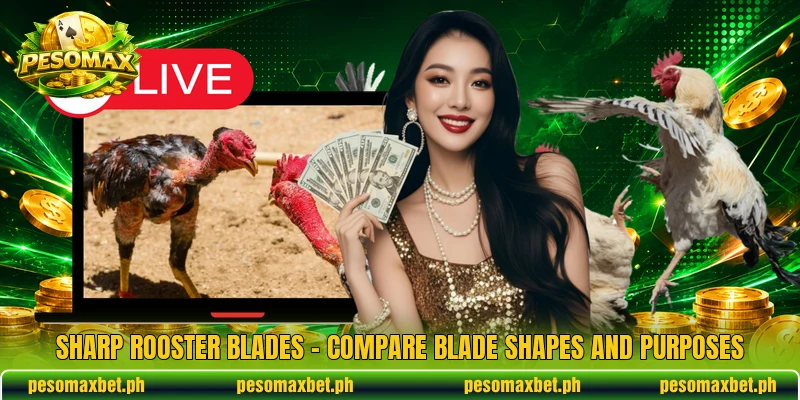 Sharp Rooster Blades – Compare Blade Shapes And Purposes