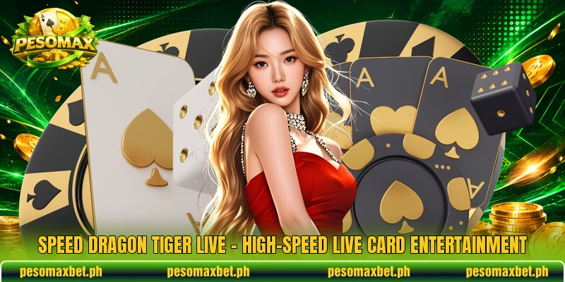 Speed Dragon Tiger Live – High-Speed Live Card Entertainment